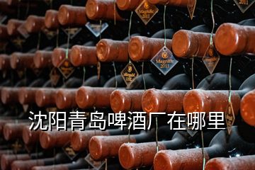 沈陽(yáng)青島啤酒廠在哪里