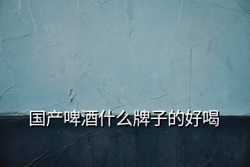 國(guó)產(chǎn)啤酒什么牌子的好喝