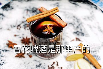 雪花啤酒是那里產(chǎn)的