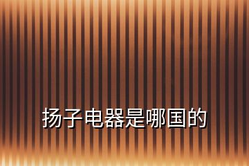 揚(yáng)子電器是哪國(guó)的