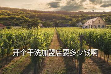 開(kāi)個(gè)干洗加盟店要多少錢(qián)啊