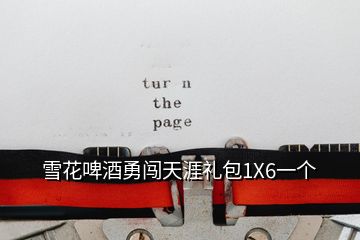 雪花啤酒勇闖天涯禮包1X6一個