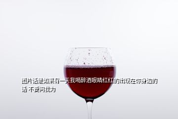 圖片話是如果有一天我喝醉酒眼睛紅紅的出現(xiàn)在你身邊的話 不要問(wèn)我為