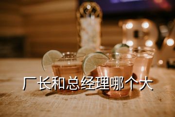 廠長(zhǎng)和總經(jīng)理哪個(gè)大