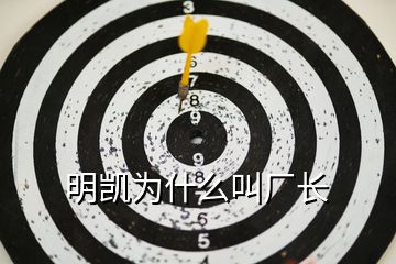明凱為什么叫廠長(zhǎng)