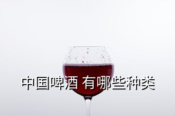 中國啤酒 有哪些種類