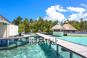 商標轉(zhuǎn)讓