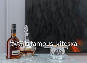 濰坊 is famous  kitesxa