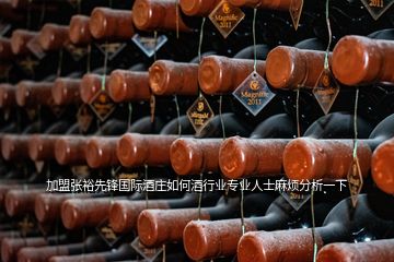 加盟張?jiān)Ｏ蠕h國(guó)際酒莊如何酒行業(yè)專(zhuān)業(yè)人士麻煩分析一下