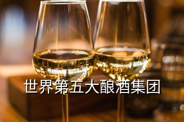 世界第五大釀酒集團(tuán)