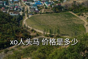 xo人頭馬 價(jià)格是多少