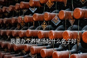 我要辦個(gè)養(yǎng)豬場起什么名子好