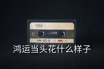 鴻運當頭花什么樣子