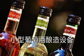 小型葡萄酒釀造設(shè)備