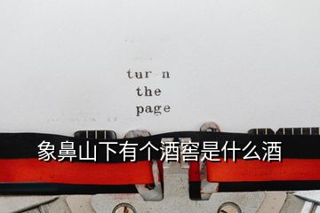 象鼻山下有個酒窖是什么酒