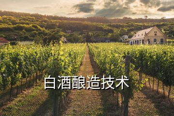 白酒釀造技術
