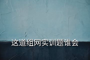 這道組網(wǎng)實(shí)訓(xùn)題誰會(huì)