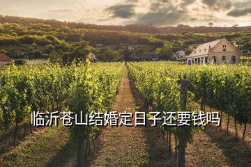 臨沂蒼山結婚定日子還要錢嗎