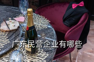 廣東民營企業(yè)有哪些