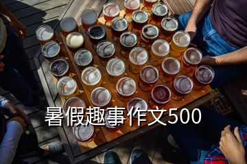暑假趣事作文500
