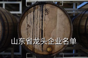 山東省龍頭企業(yè)名單