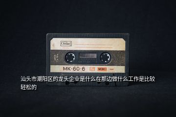 汕頭市潮陽區(qū)的龍頭企業(yè)是什么在那邊做什么工作是比較輕松的
