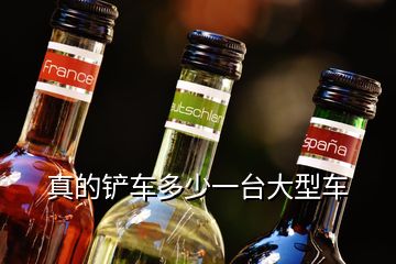 真的鏟車多少一臺(tái)大型車