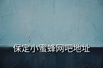 保定小蜜蜂網吧地址