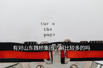 有對(duì)山東魏橋集團(tuán)了解比較多的嗎
