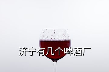 濟寧有幾個啤酒廠