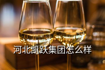 河北凱躍集團怎么樣