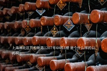 上海閘北區(qū)共和新路1207號4A棟3樓 是個(gè)什么樣的公司啊