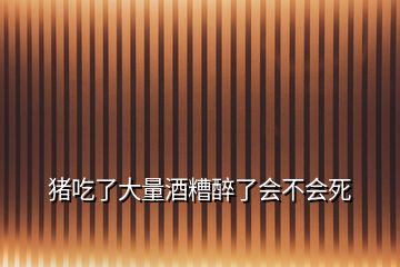 豬吃了大量酒糟醉了會(huì)不會(huì)死