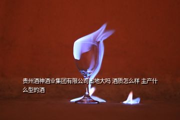 貴州酒神酒業(yè)集團有限公司占地大嗎 酒質(zhì)怎么樣 主產(chǎn)什么型的酒