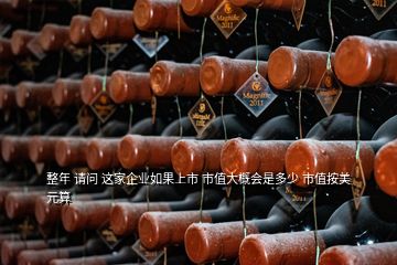 整年 請問 這家企業(yè)如果上市 市值大概會(huì)是多少 市值按美元算