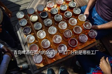 青島啤酒在國內(nèi)的55家生產(chǎn)工廠分別是哪些工廠