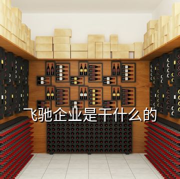 飛馳企業(yè)是干什么的