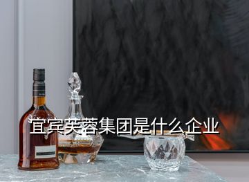 宜賓芙蓉集團是什么企業(yè)