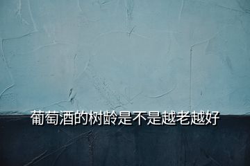 葡萄酒的樹(shù)齡是不是越老越好