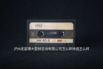 瀘州老窖博大營銷咨詢有限公司怎么樣待遇怎么樣