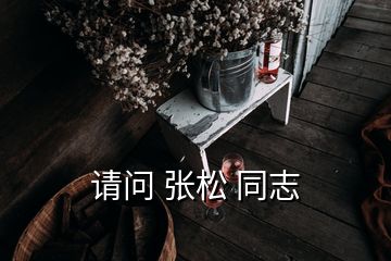 請問 張松 同志
