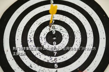 荊門陽豐集團是家什么性質(zhì)的企業(yè)在具體在荊門什么地方主要生產(chǎn)