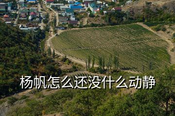 楊帆怎么還沒什么動(dòng)靜