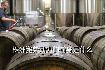 株洲濰柴動力的前身是什么