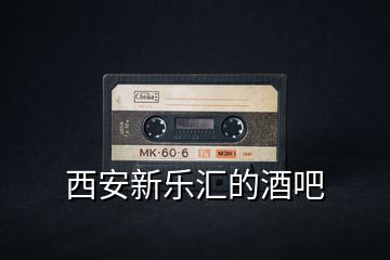 西安新樂(lè)匯的酒吧