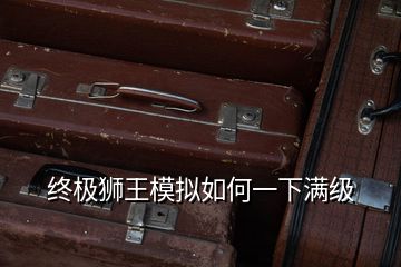 終極獅王模擬如何一下滿級