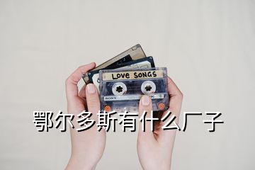 鄂爾多斯有什么廠子