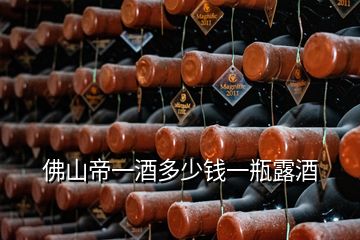 佛山帝一酒多少錢(qián)一瓶露酒