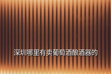 深圳哪里有賣葡萄酒釀酒器的