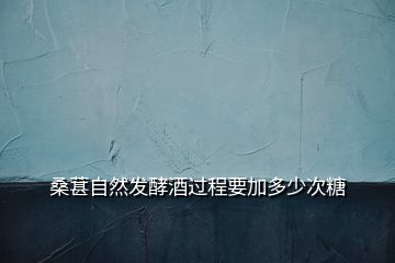 桑葚自然發(fā)酵酒過程要加多少次糖